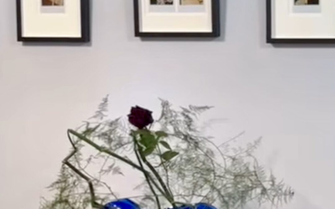 Flowers of Evil exhibition – Boogie Woogie Photography, Hong Kong