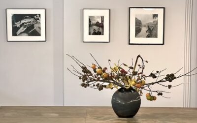 Ikebana pour la galerie Boogie Woogie photographie