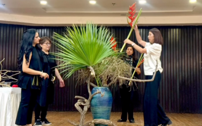 デリーで「変革」をテーマとしたワークショップと実演会が開催されたデリーで開催されたワークショップ「トランスフォーメーション」
