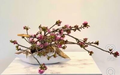 Workshop in Hong Kong, Sakura